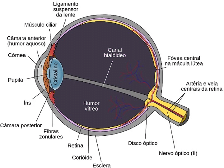 Swelling Around My Eyes