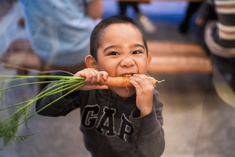 Carrots Improve Vision In The Dark